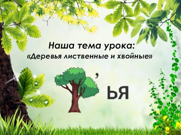 Наша тема урока: «Деревья лиственные и хвойные»