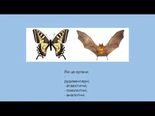 Які це органи: - рудиментарні; - атавістичні; - гомологічні; - аналогічні.