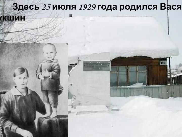 Здесь 25 июля 1929 года родился Вася Шукшин