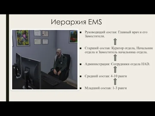Иерархия EMS Руководящий состав: Главный врач и его Заместители. Старший