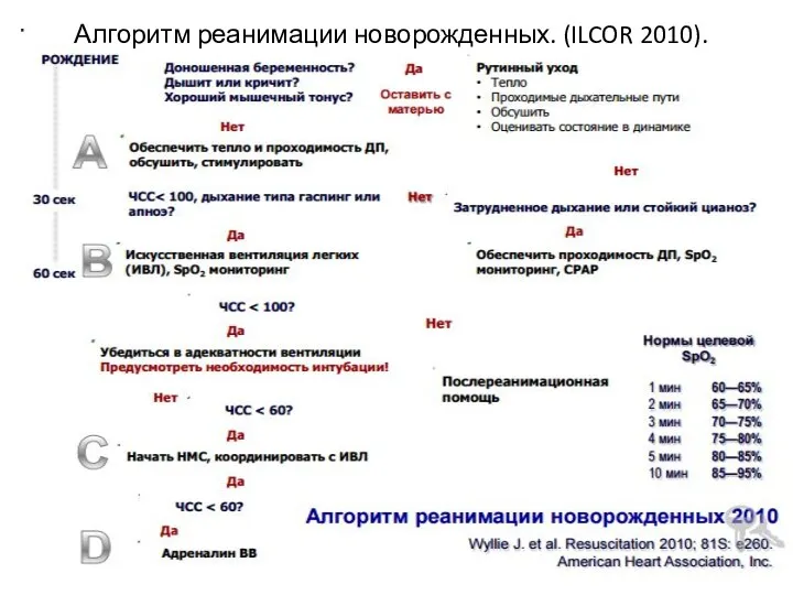 Алгоритм реанимации новорожденных. (ILCOR 2010).