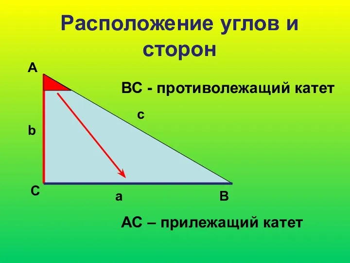 Расположение углов и сторон А С В b c a