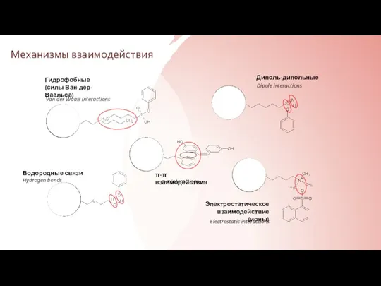 Механизмы взаимодействия Гидрофобные (силы Ван-дер-Ваальса) Водородные связи Электростатическое взаимодействие (ионы)