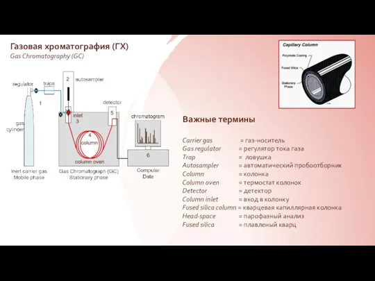 Газовая хроматография (ГХ) Gas Chromatography (GC) Важные термины Carrier gas