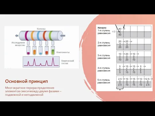 Многократное перераспределение элементов смеси между двумя фазами – подвижной и неподвижной Основной принцип