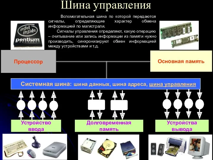 Шина управления Процессор Основная память Системная шина: шина данных, шина