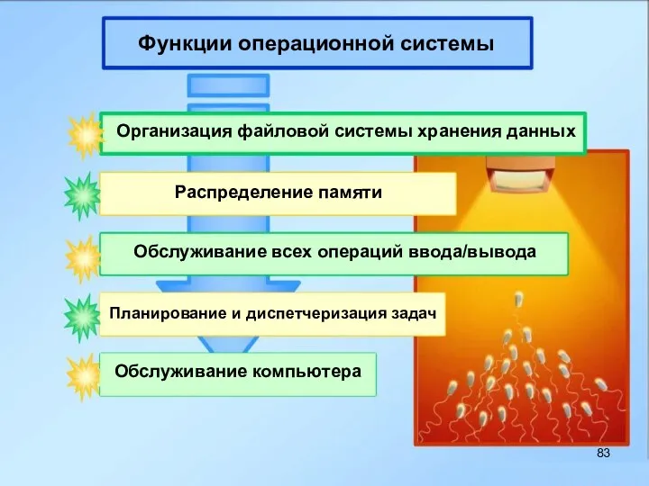 Функции операционной системы Организация файловой системы хранения данных Распределение памяти