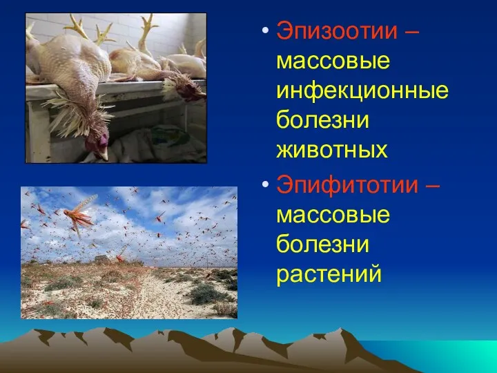 Эпизоотии – массовые инфекционные болезни животных Эпифитотии – массовые болезни растений