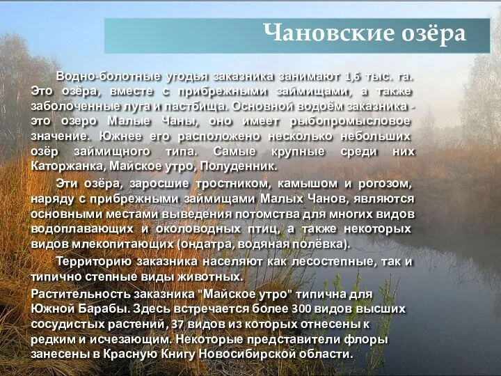 Чановские озёра Водно-болотные угодья заказника занимают 1,6 тыс. га. Это