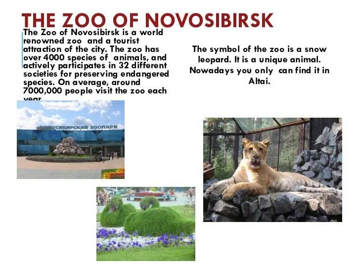 THE ZOO OF NOVOSIBIRSK The Zoo of Novosibirsk is a