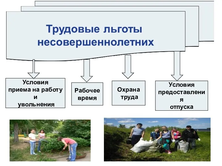 Рабочее время Условия приема на работу и увольнения Условия предоставления отпуска Охрана труда