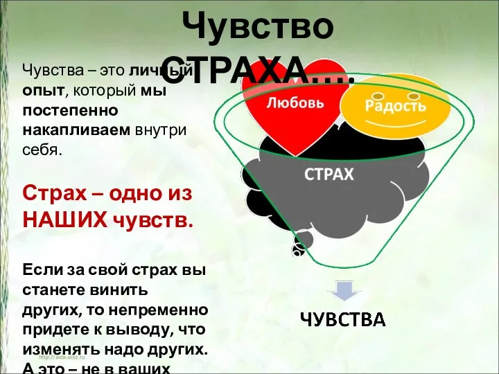 Чувство СТРАХА…. Чувства – это личный опыт, который мы постепенно