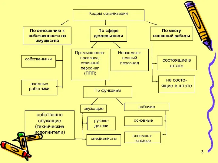 По сфере деятельности По отношению к собственности на имущество Кадры