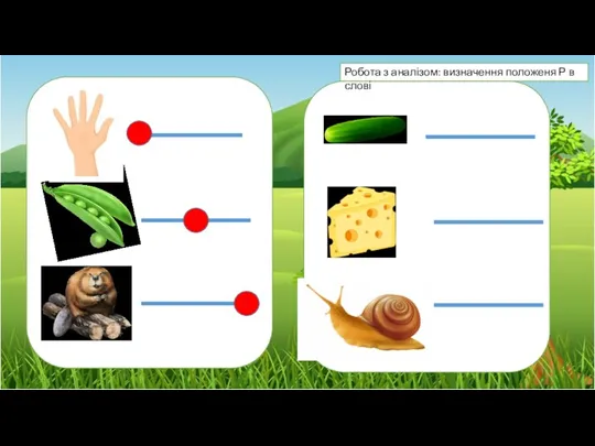 Робота з аналізом: визначення положеня Р в слові