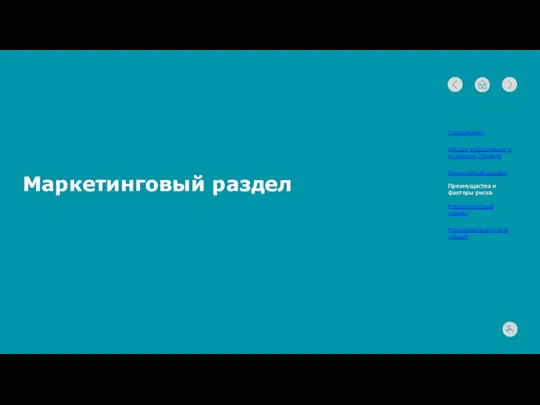 Маркетинговый раздел Содержание Общая информация и описание Проекта Финансовый раздел