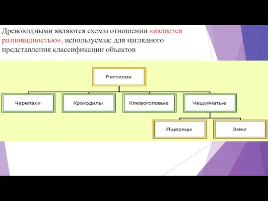 Древовидными являются схемы отношении «является разновидностью», используемые для наглядного представления классификации объектов