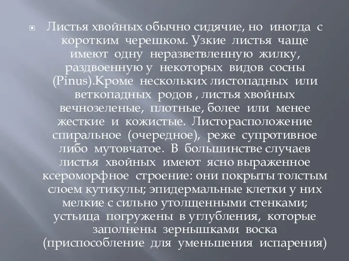 Листья хвойных обычно сидячие, но иногда с коротким черешком. Узкие