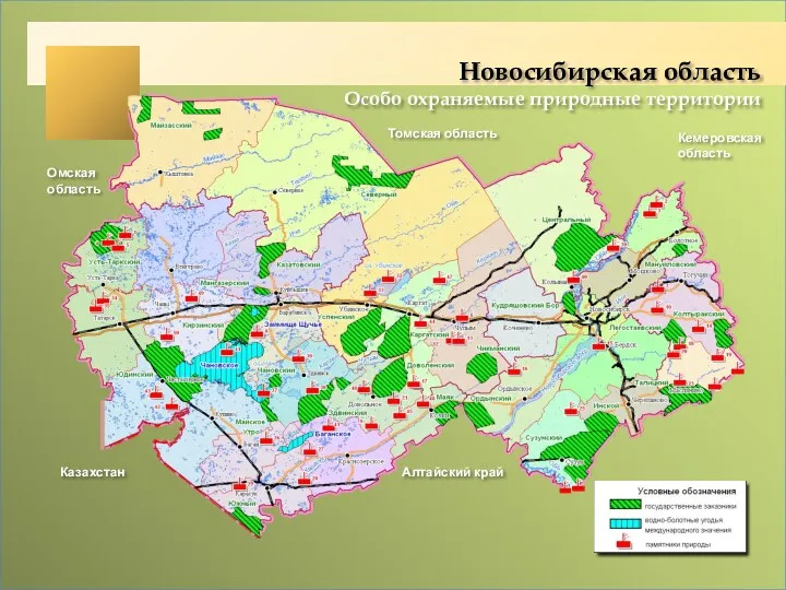 Казахстан Томская область Алтайский край Омская область Кемеровская область Новосибирская область Особо охраняемые природные территории