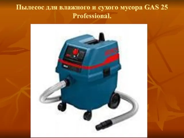 Пылесос для влажного и сухого мусора GAS 25 Professional.