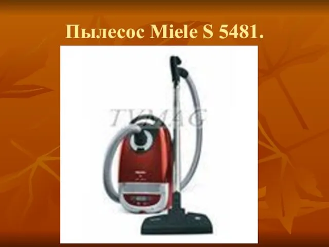 Пылесос Miele S 5481.