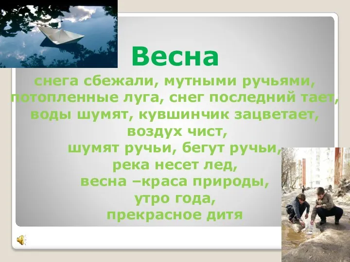 Весна снега сбежали, мутными ручьями, потопленные луга, снег последний тает, воды шумят, кувшинчик