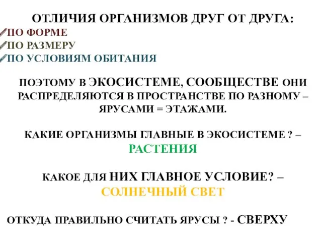 ОТЛИЧИЯ ОРГАНИЗМОВ ДРУГ ОТ ДРУГА: ПО ФОРМЕ ПО РАЗМЕРУ ПО