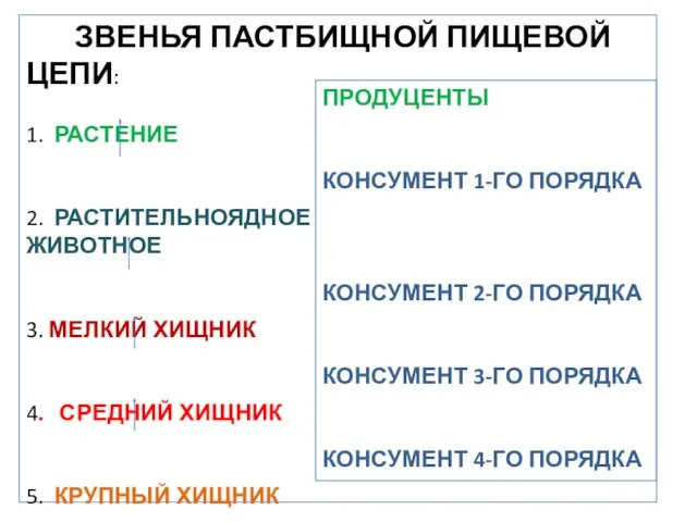 ЗВЕНЬЯ ПАСТБИЩНОЙ ПИЩЕВОЙ ЦЕПИ: 1. РАСТЕНИЕ 2. РАСТИТЕЛЬНОЯДНОЕ ЖИВОТНОЕ 3.