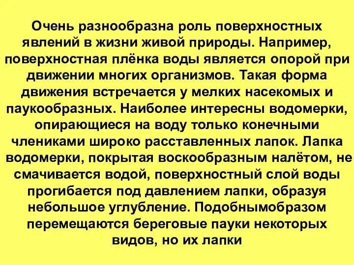 Очень разнообразна роль поверхностных явлений в жизни живой природы. Например,