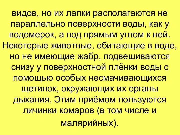 видов, но их лапки располагаются не параллельно поверхности воды, как