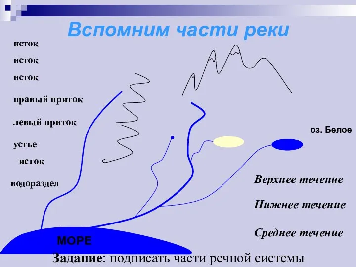 Вспомним части реки оз. Белое исток исток исток правый приток