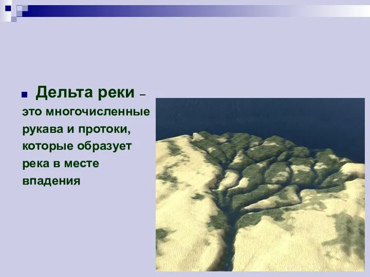 Дельта реки – это многочисленные рукава и протоки, которые образует река в месте впадения