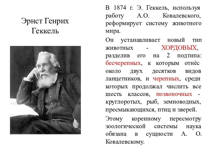 Эрнст Генрих Геккель В 1874 г. Э. Геккель, используя работу