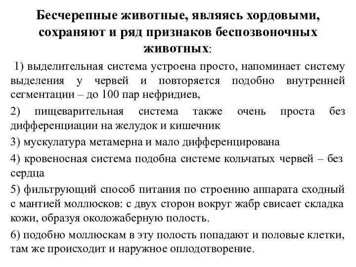 Бесчерепные животные, являясь хордовыми, сохраняют и ряд признаков беспозвоночных животных: