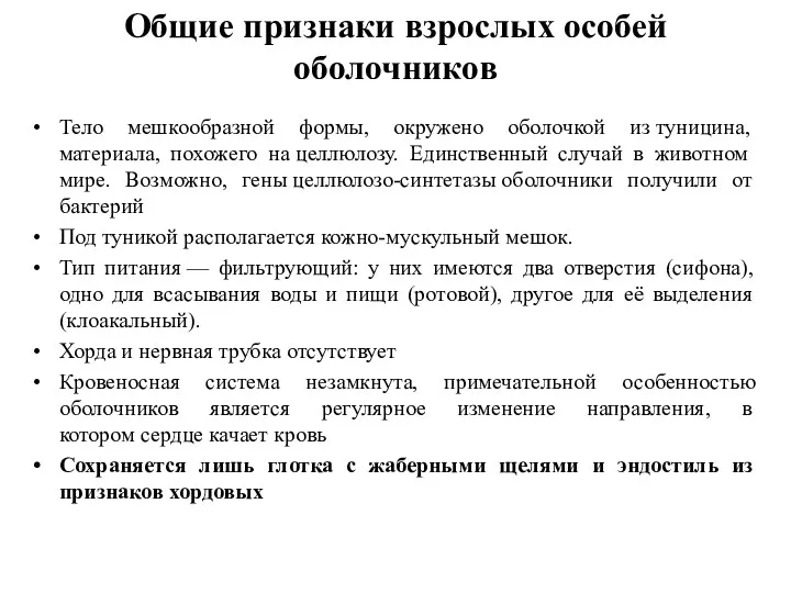 Общие признаки взрослых особей оболочников Тело мешкообразной формы, окружено оболочкой