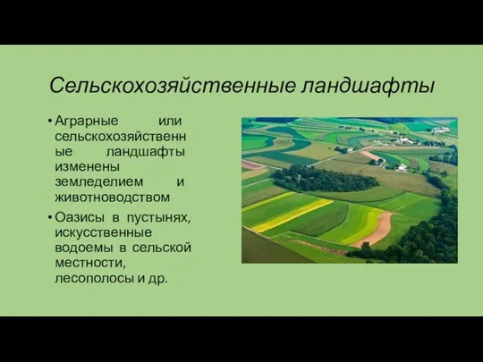 Сельскохозяйственные ландшафты Аграрные или сельскохозяйственные ландшафты изменены земледелием и животноводством