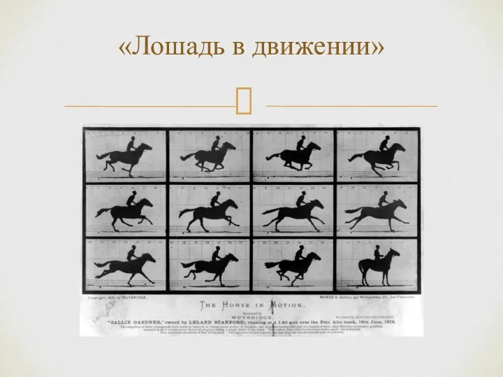 «Лошадь в движении»