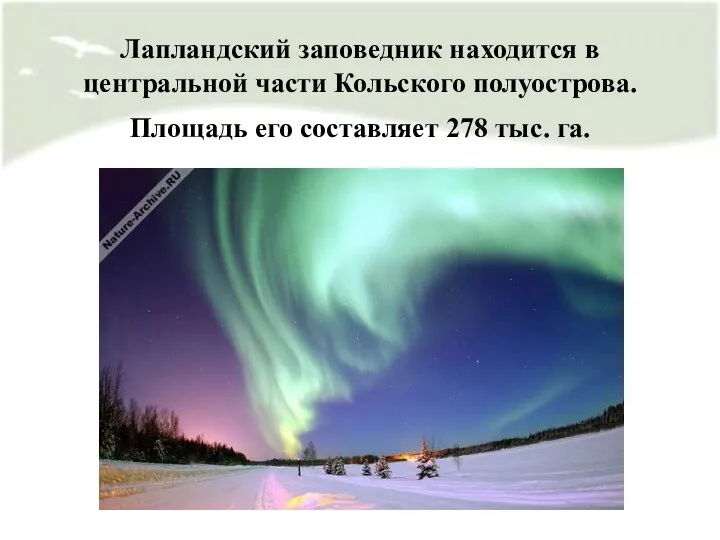 Лапландский заповедник находится в центральной части Кольского полуострова. Площадь его составляет 278 тыс. га.