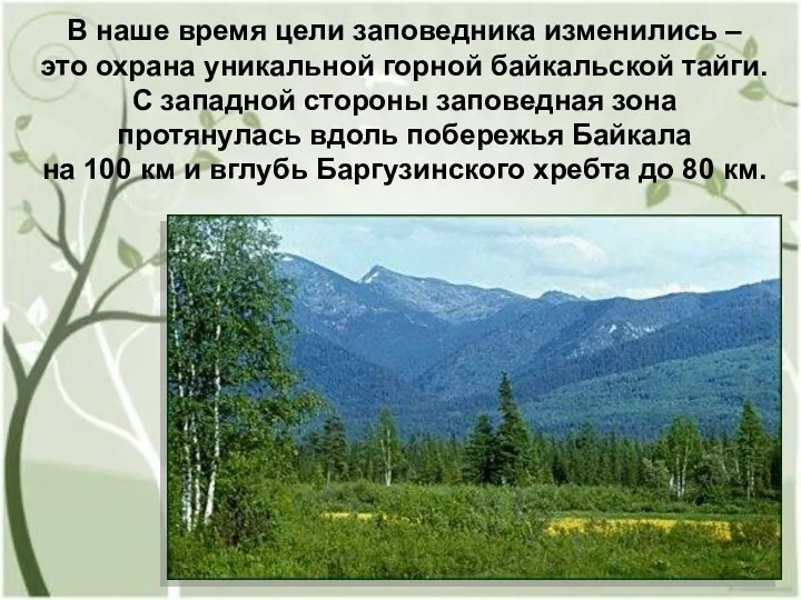 В наше время цели заповедника изменились – это охрана уникальной