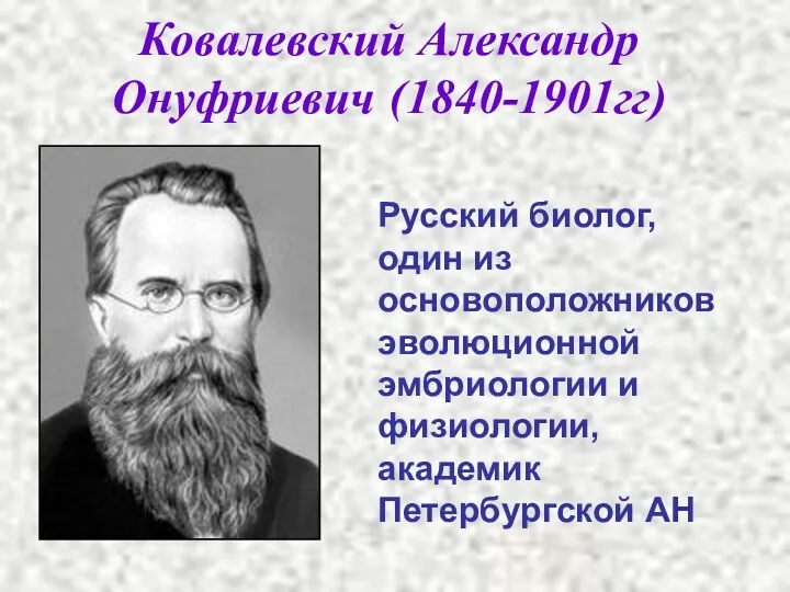 Ковалевский Александр Онуфриевич (1840-1901гг) Русский биолог, один из основоположников эволюционной эмбриологии и физиологии, академик Петербургской АН