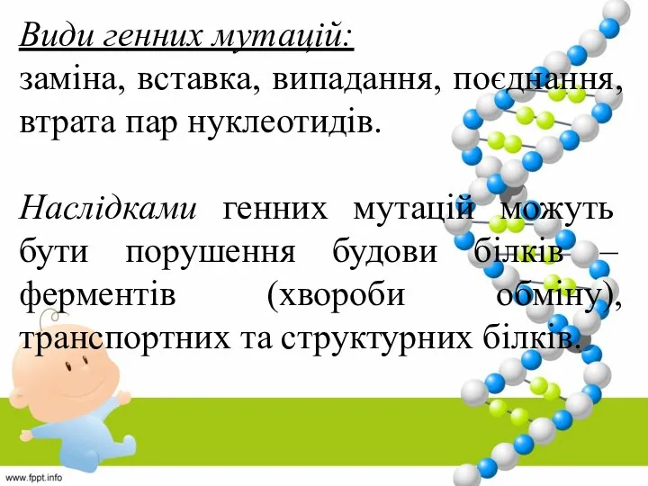 Види генних мутацій: заміна, вставка, випадання, поєднання, втрата пар нуклеотидів.