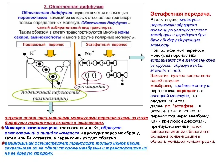 перенос ионов специальными молекулами-переносчиками за счет диффузии переносчика вместе с