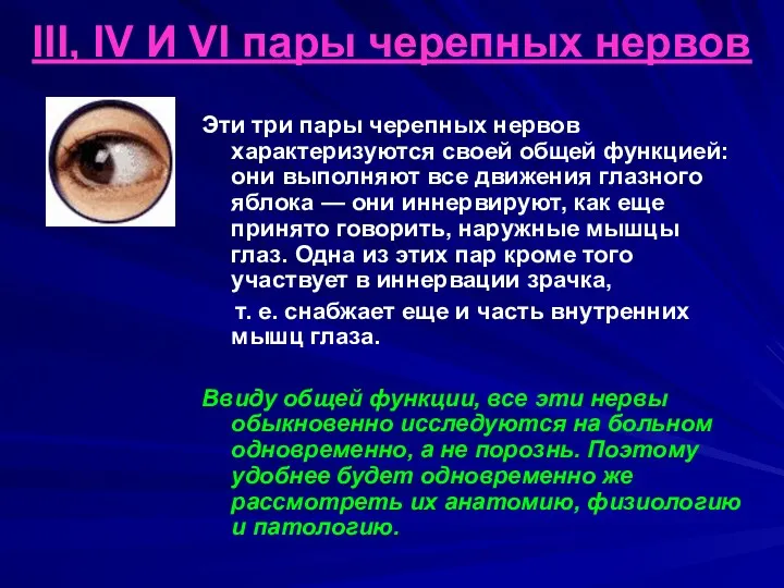 III, IV И VI пары черепных нервов Эти три пары черепных нервов характеризуются