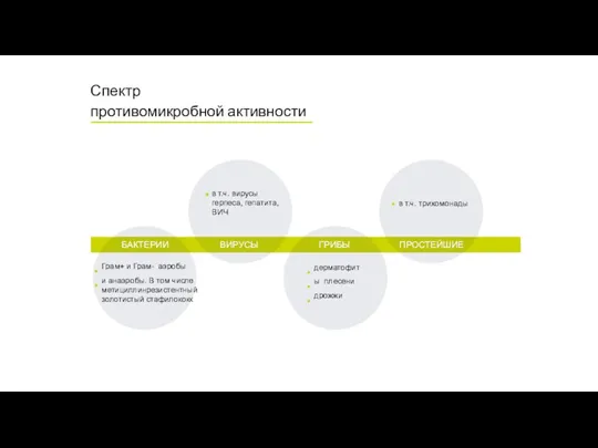 Спектр противомикробной активности ВИРУСЫ в т.ч. вирусы герпеса, гепатита, ВИЧ