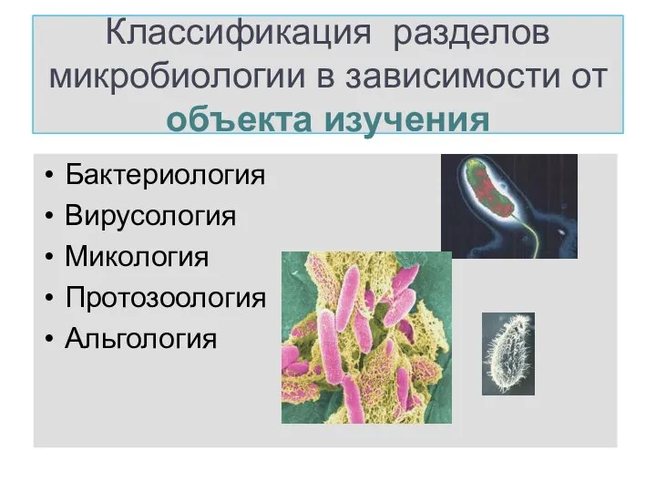Классификация разделов микробиологии в зависимости от объекта изучения Бактериология Вирусология Микология Протозоология Альгология