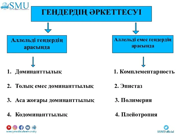 ГЕНДЕРДІҢ ӘРКЕТТЕСУІ Аллельді гендердің арасында Аллельді емес гендердің арасында Доминанттылық