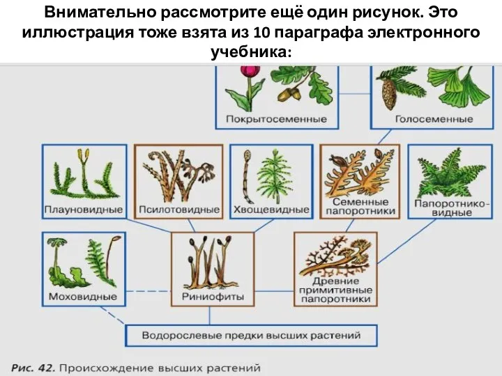 Внимательно рассмотрите ещё один рисунок. Это иллюстрация тоже взята из 10 параграфа электронного учебника: