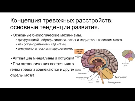 Концепция тревожных расстройств: основные тенденции развития. Основные биологические механизмы: дисфункцией