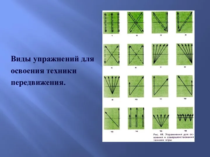 Виды упражнений для освоения техники передвижения.