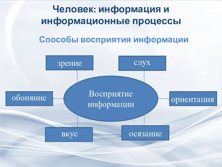 Человек: информация и информационные процессы Способы восприятия информации