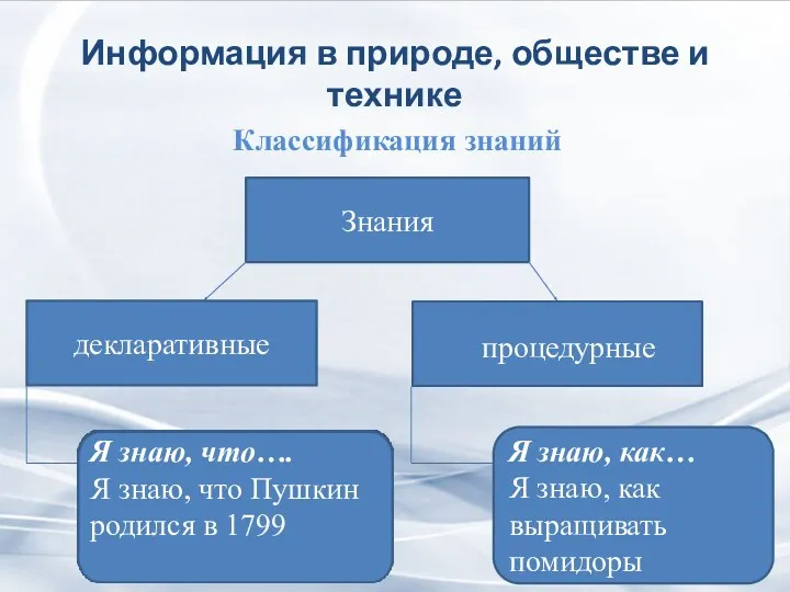 Информация в природе, обществе и технике Классификация знаний